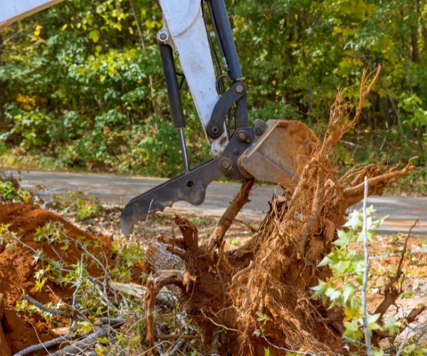 Block and land clearing La Sierra